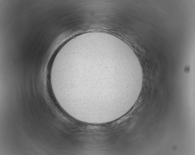 X0000116380242201001131814