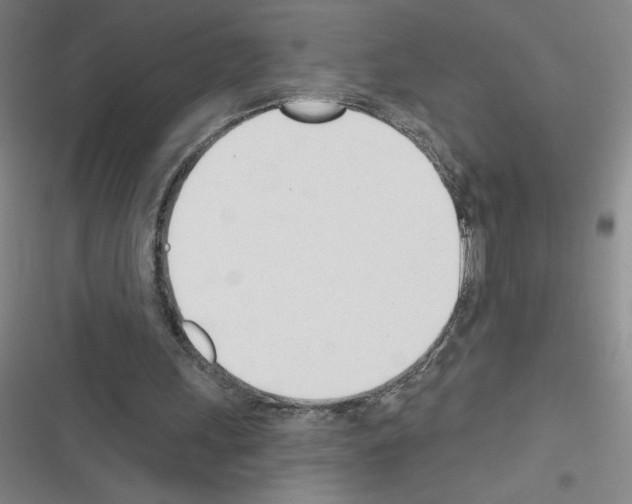 X0000116380243201001131814