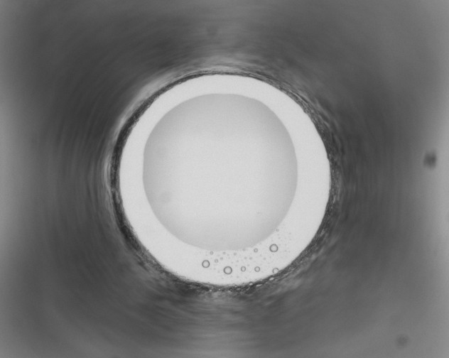 X0000116380244201001131814