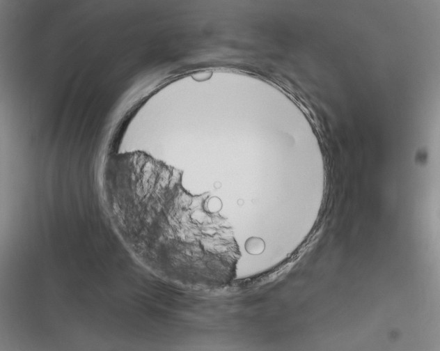 X0000116380245201001131814