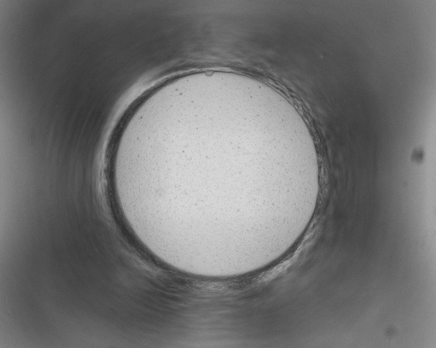 X0000116380246201001131814