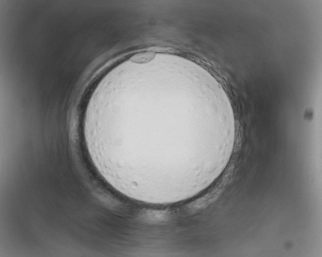 X0000116380247201001131814