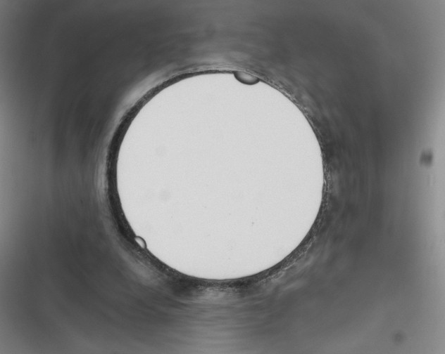 X0000116380248201001131814