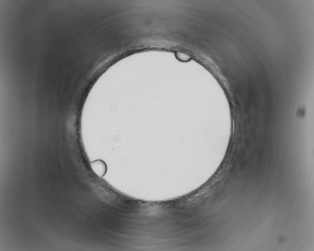 X0000116380249201001131814