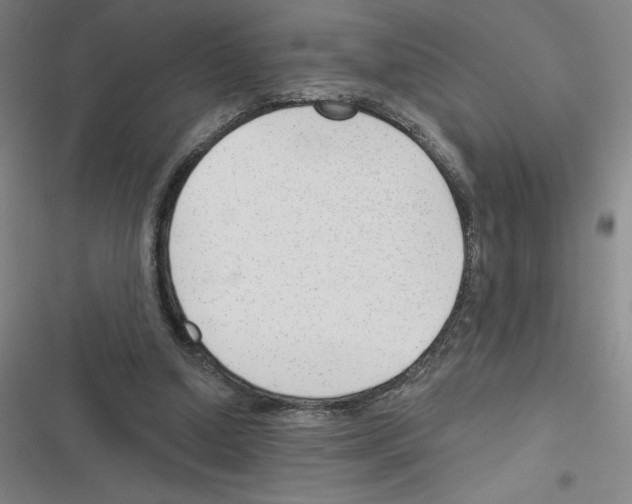 X0000116380250201001131814