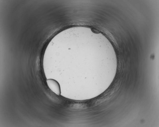 X0000116380251201001131814