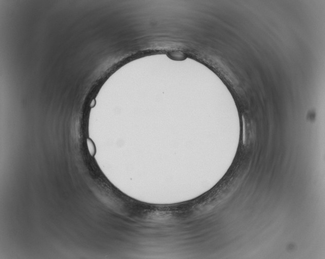 X0000116380252201001131814