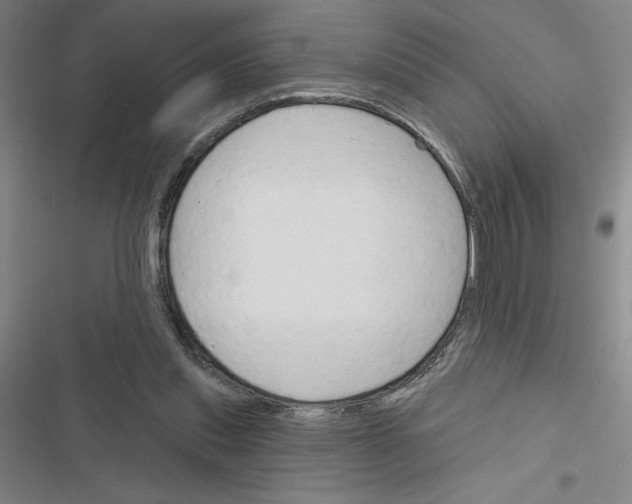 X0000116380253201001131814