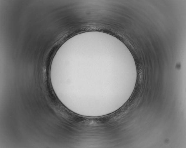 X0000116380254201001131814