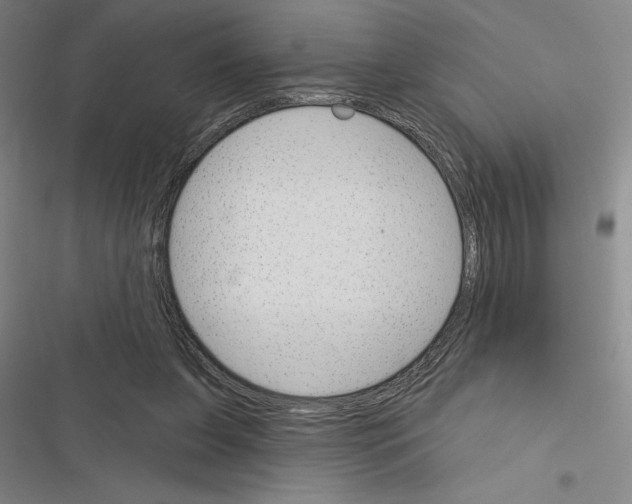 X0000116380255201001131814