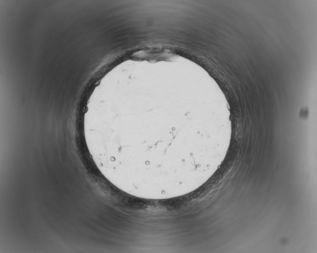 X0000116380256201001131814