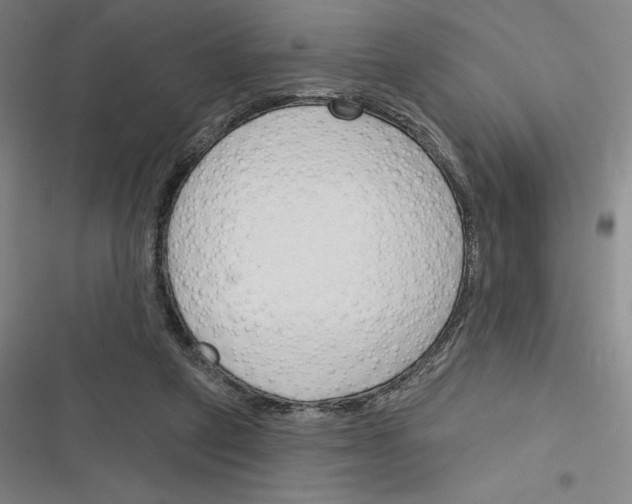 X0000116380257201001131814