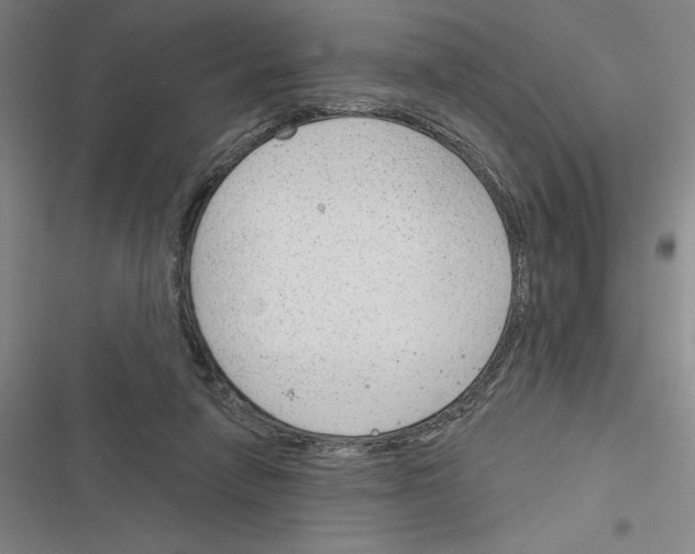 X0000116380258201001131814