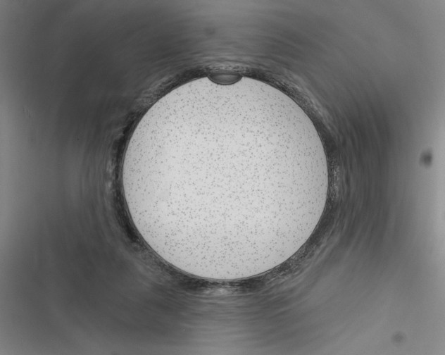 X0000116380259201001131814