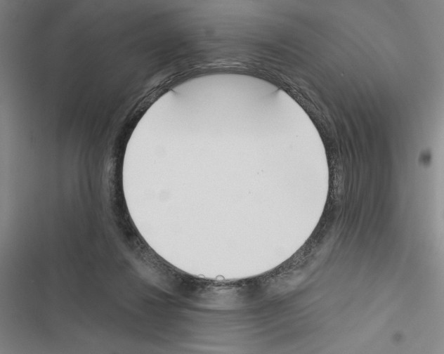 X0000116380260201001131814