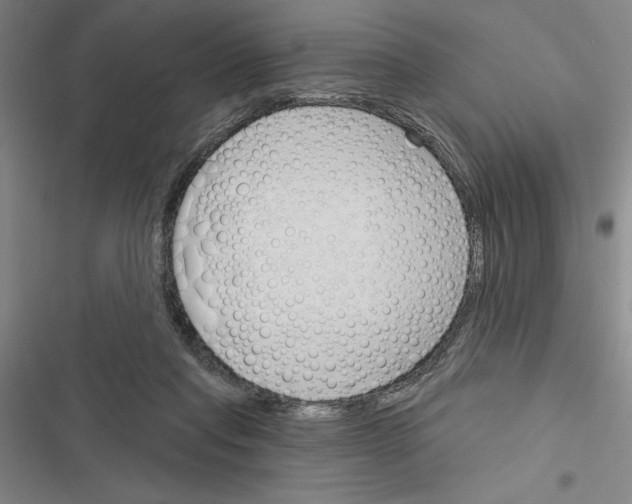 X0000116380261201001131814