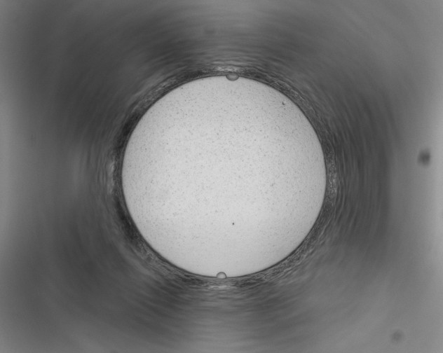 X0000116380262201001131814