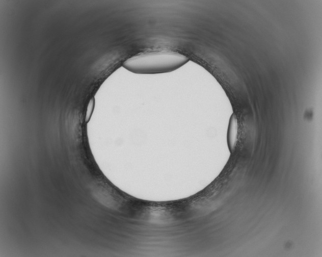 X0000116380264201001131814