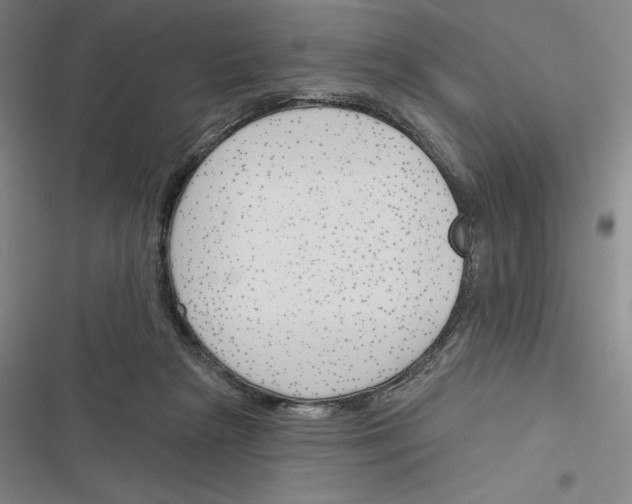 X0000116380265201001131814
