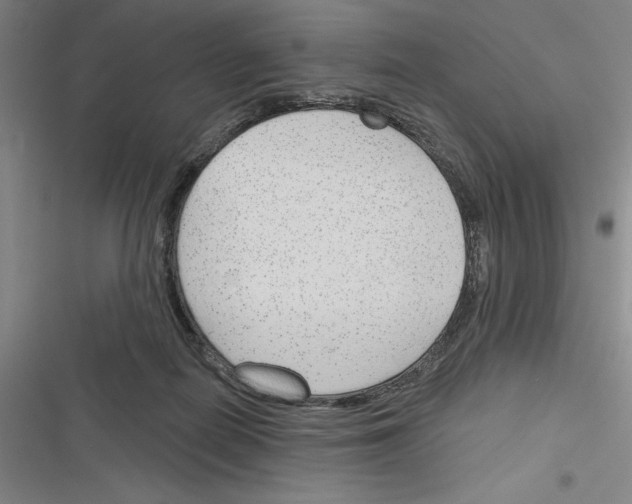 X0000116380266201001131814