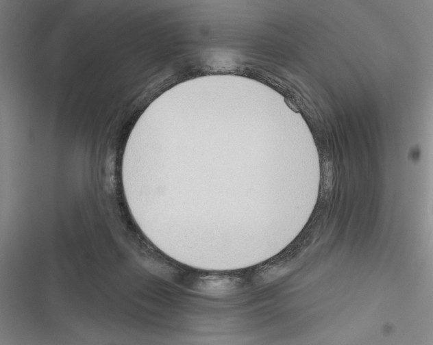 X0000116380267201001131814