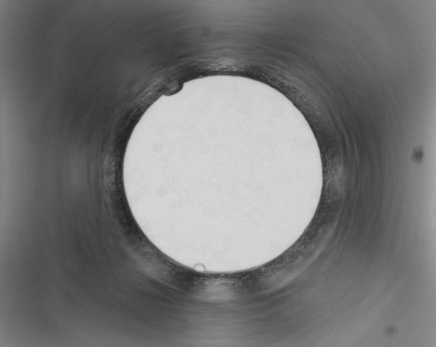 X0000116380268201001131814