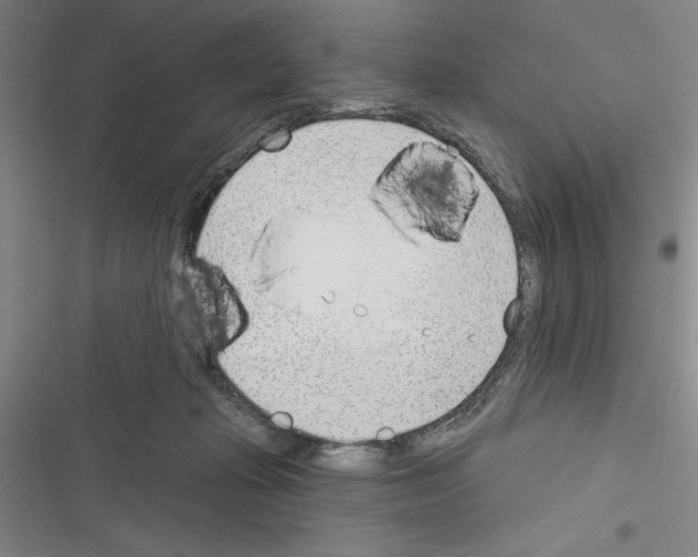 X0000116380269201001131814