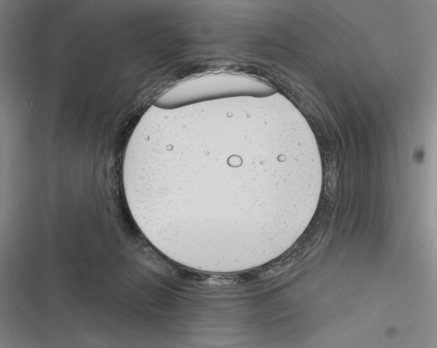 X0000116380270201001131814