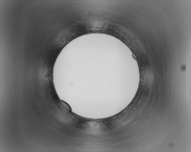 X0000116380272201001131815