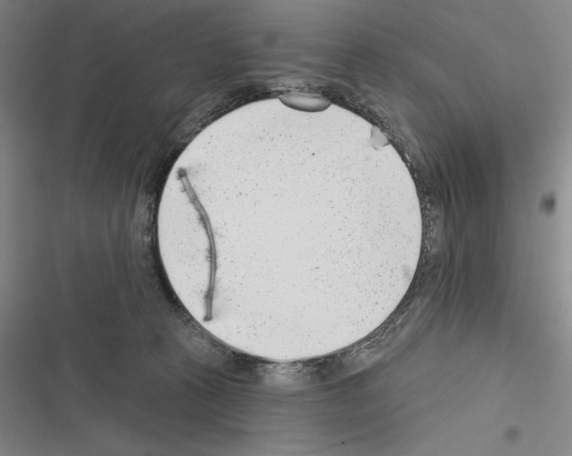 X0000116380273201001131815