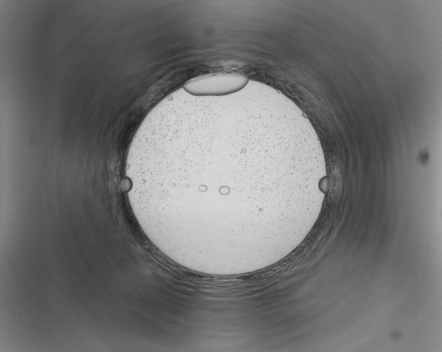 X0000116380274201001131815