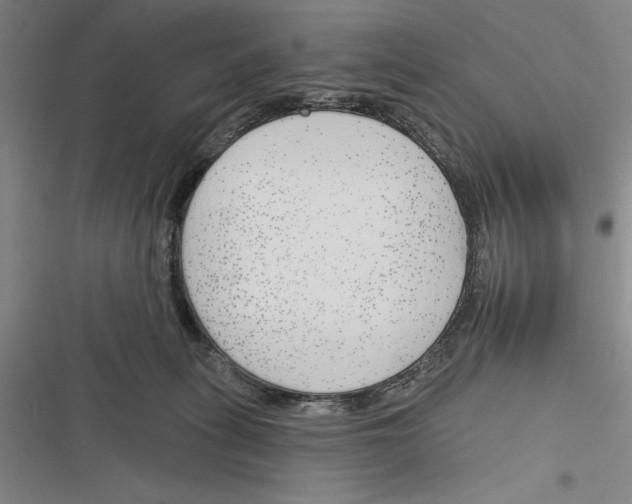 X0000116380275201001131815