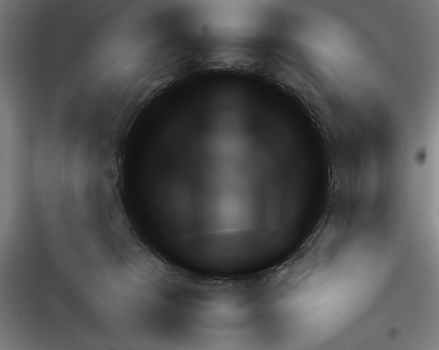 X0000116380276201001131815