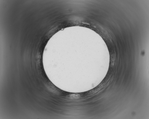 X0000116380279201001131815