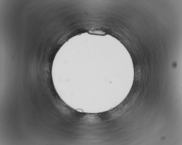 X0000116380280201001131815