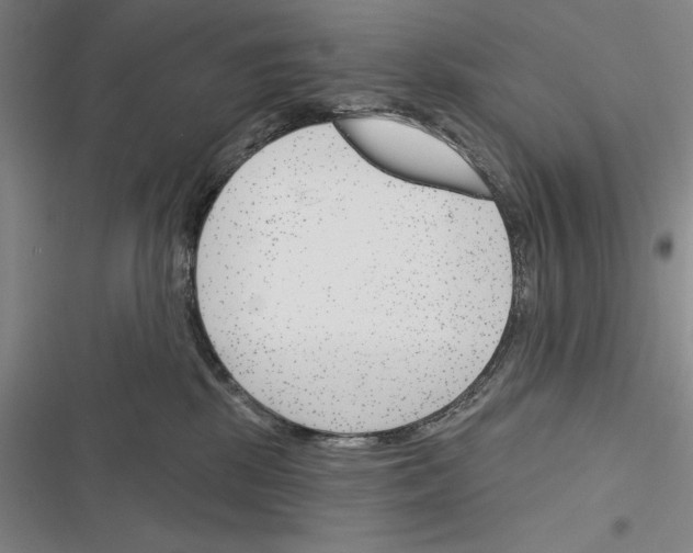 X0000116380281201001131815