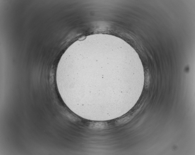 X0000116380282201001131815