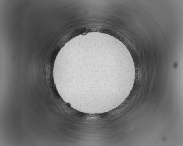 X0000116380283201001131815