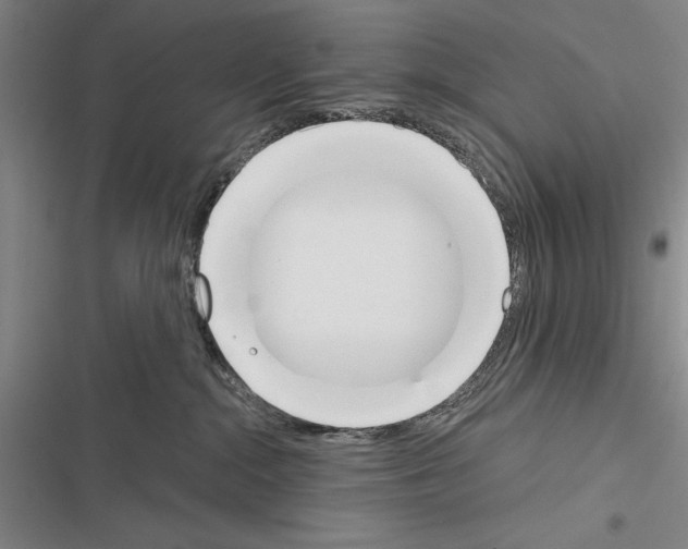 X0000116380284201001131815