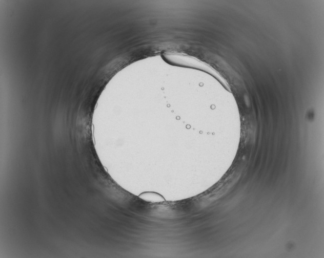 X0000116380285201001131815