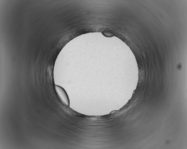 X0000116380286201001131815