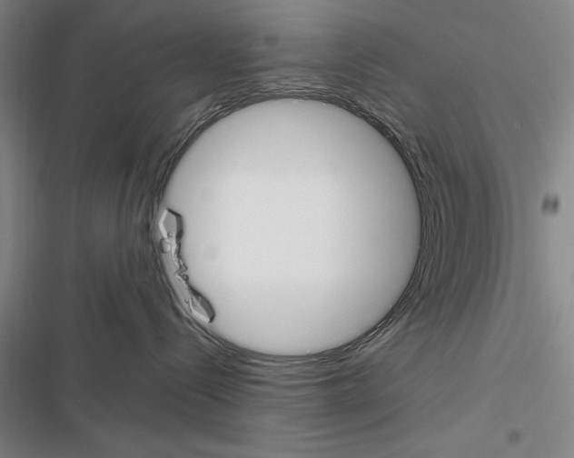 X0000116380288201001131815