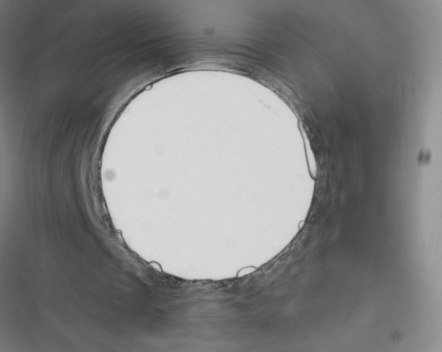 X0000116380289201001131814