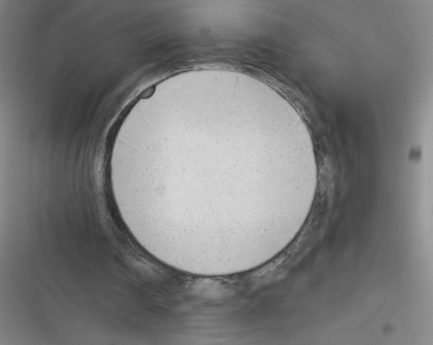 X0000116380290201001131814