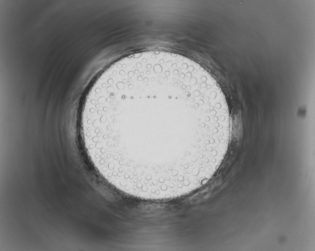 X0000116380291201001131814