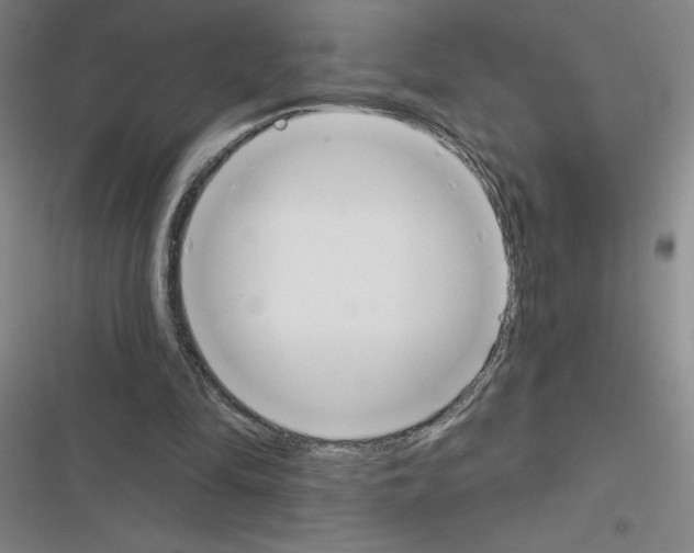 X0000116380294201001131814