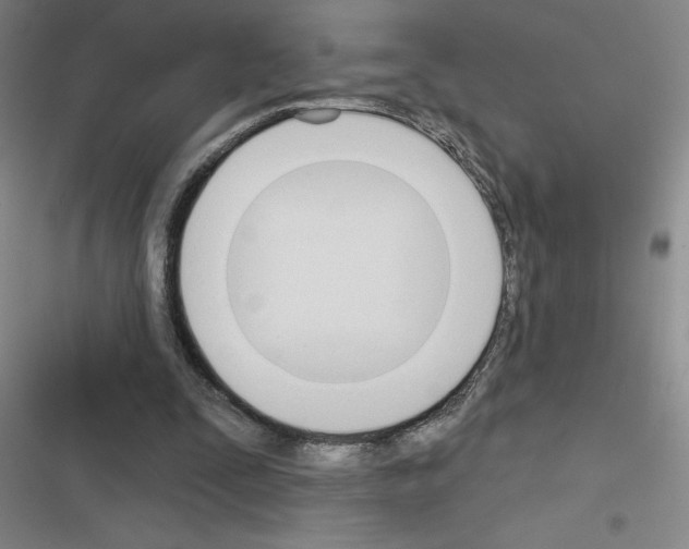 X0000116380295201001131814