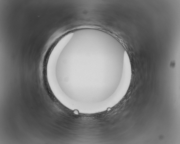 X0000116380296201001131814