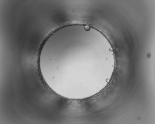 X0000116380297201001131814