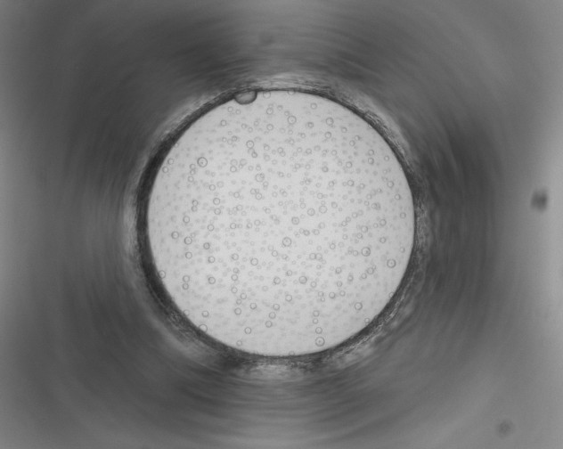 X0000116380298201001131814